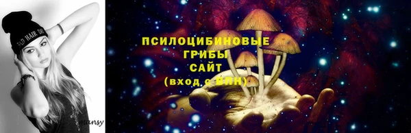 дмт Арсеньев