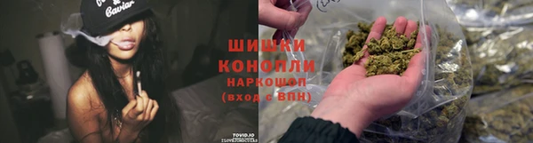 дмт Арсеньев