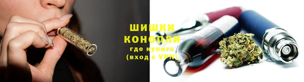 дмт Арсеньев