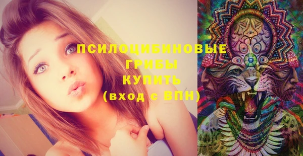 дмт Арсеньев