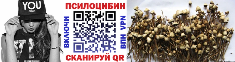 Псилоцибиновые грибы мухоморы  Голицыно 